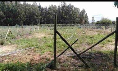 Vendo sitio de 500 mts2 en Santa Cruz ( sexta región)