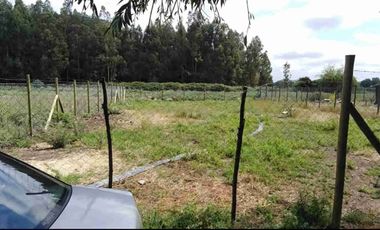 Vendo sitio de 500 mts2 en Santa Cruz ( sexta región)