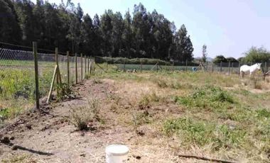 Vendo sitio de 500 mts2 en Santa Cruz ( sexta región)