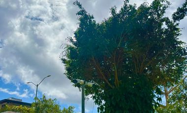 ✨ ¡OPORTUNIDAD ÚNICA! Casa con descuento especial por tiempo limitado en Rio Residencial ✨