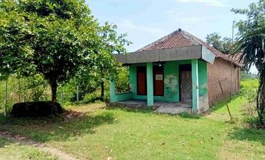 DI JUAL RUMAH

KEL. : WARUJAYENG
KEC. : TANJUNGANOM
KAB  : NGANJUK