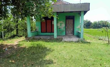 DI JUAL RUMAH

KEL. : WARUJAYENG
KEC. : TANJUNGANOM
KAB  : NGANJUK