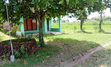 DI JUAL RUMAH

KEL. : WARUJAYENG
KEC. : TANJUNGANOM
KAB  : NGANJUK