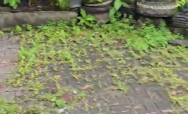 Ruko Premium 1 Lantai Lokasi Bagus Disewakan, di Seminyak, Kuta Area