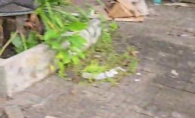 Ruko Premium 1 Lantai Lokasi Bagus Disewakan, di Seminyak, Kuta Area