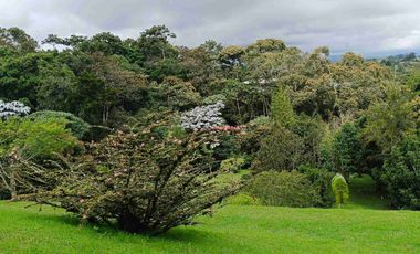 Lujosa finca en venta, vereda el Cerro el Carmen de Viboral