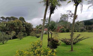 Lujosa finca en venta, vereda el Cerro el Carmen de Viboral