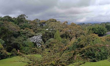 Lujosa finca en venta, vereda el Cerro el Carmen de Viboral