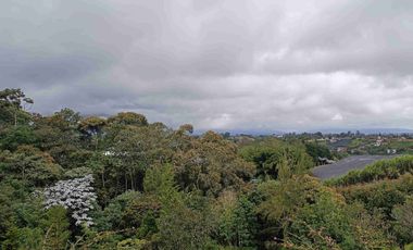 Lujosa finca en venta, vereda el Cerro el Carmen de Viboral