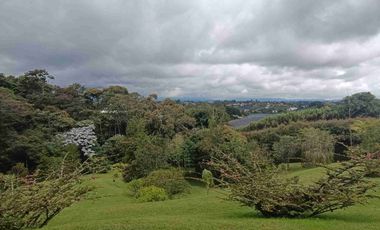Lujosa finca en venta, vereda el Cerro el Carmen de Viboral