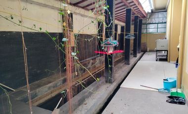 DIJUAL RUMAH FULL FURNISH JALAN ANGKATAN 66 PALEMBANG