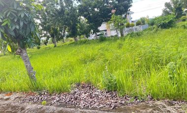 RUSH SALE 144sqm Residential Titled Lot in Glenrose SUbd Carcar