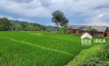 DISEWAKAN RESTO DAN VILLA DI KARANGPANDAN KARANGANYAR
