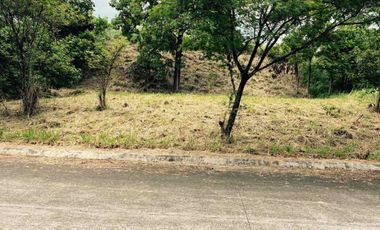 RESIDENTIAL LOT FOR SALE IN PARKRIDGE ESTATE ANTIPOLO CITY