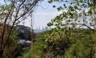 RESIDENTIAL LOT FOR SALE IN PARKRIDGE ESTATE ANTIPOLO CITY