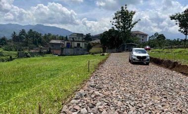 Tanah Di Puncak Bogor View Bukit Dan Gunung