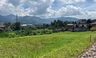 Tanah Di Puncak Bogor View Bukit Dan Gunung