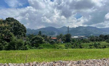 Tanah Di Puncak Bogor View Bukit Dan Gunung