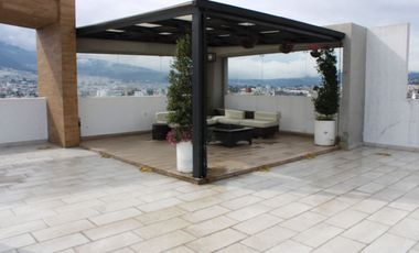 RENTA HERMOSA SUIT NORTE 6 DE DICIEMBRE Y THOMAS DE BERLANGA