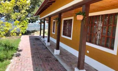 VENDO 4 HECTÁREAS CON CASA Y UN GLANPIN A PUERTA CERRADA