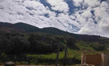 VENDO 4 HECTÁREAS CON CASA Y UN GLANPIN A PUERTA CERRADA