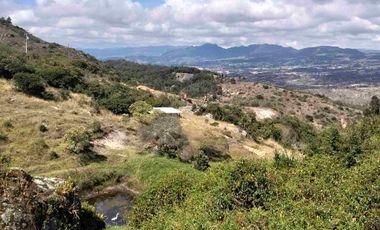 VENDO 4 HECTÁREAS CON CASA Y UN GLANPIN A PUERTA CERRADA