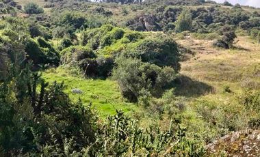 VENDO 4 HECTÁREAS CON CASA Y UN GLANPIN A PUERTA CERRADA