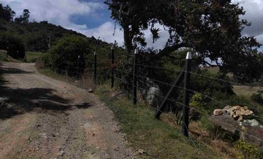 VENDO 4 HECTÁREAS CON CASA Y UN GLANPIN A PUERTA CERRADA