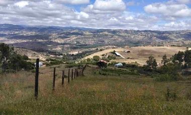 VENDO 4 HECTÁREAS CON CASA Y UN GLANPIN A PUERTA CERRADA