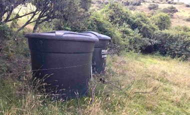 VENDO 4 HECTÁREAS CON CASA Y UN GLANPIN A PUERTA CERRADA