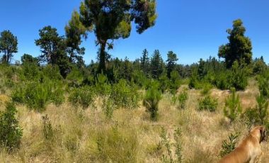 Loteo Fundo Millaco, Pichilemu