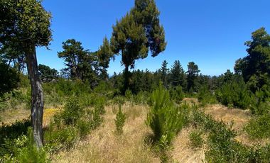 Loteo Fundo Millaco, Pichilemu