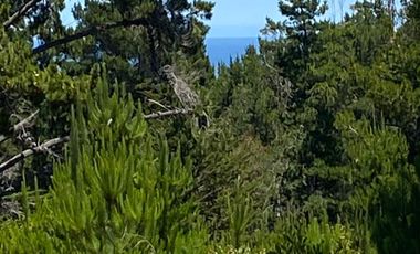 Loteo Fundo Millaco, Pichilemu