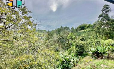 ARRIENDO Codigo 5 - 025