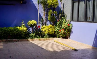 Propiedad única en Del Valle: casa principal + casa independiente estilo colonial