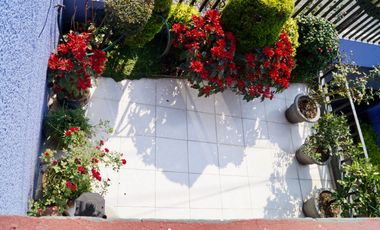 Propiedad única en Del Valle: casa principal + casa independiente estilo colonial