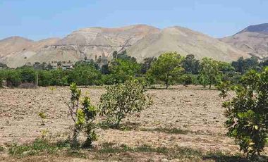 Terreno de 10,310 m² en Azpitia – Ideal Casa de Campo | A 1h20 de Lima