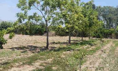 Terreno de 10,310 m² en Azpitia – Ideal Casa de Campo | A 1h20 de Lima
