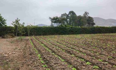 Terreno de 10,310 m² en Azpitia – Ideal Casa de Campo | A 1h20 de Lima