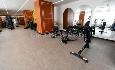 Loft en renta con balcón y muebles San Rafael Cuauhtémoc Ciudad de México 262238MTZP