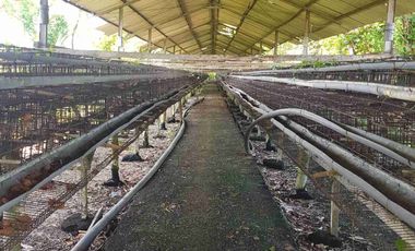 Tanah Kandang Ayam di Bangkalan Madura