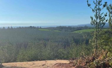 Vendo parcelas en Pichilemu * 5.000 m2 * Rol propio  * Listo para escriturar* Documentación al día  10 min Cahuil *A 15 min punta de lobos