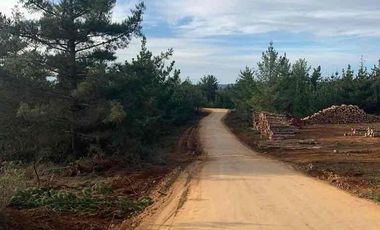 Vendo parcelas en Pichilemu * 5.000 m2 * Rol propio  * Listo para escriturar* Documentación al día  10 min Cahuil *A 15 min punta de lobos