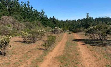Vendo parcelas en Pichilemu * 5.000 m2 * Rol propio  * Listo para escriturar* Documentación al día  10 min Cahuil *A 15 min punta de lobos