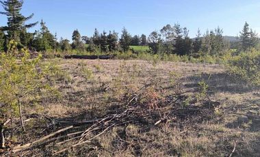 Vendo parcelas en Pichilemu * 5.000 m2 * Rol propio  * Listo para escriturar* Documentación al día  10 min Cahuil *A 15 min punta de lobos