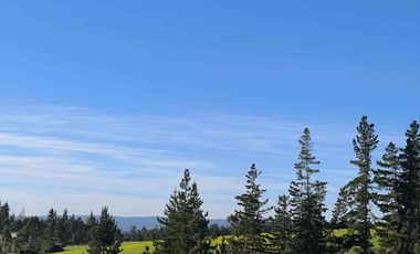 Vendo parcelas en Pichilemu * 5.000 m2 * Rol propio  * Listo para escriturar* Documentación al día  10 min Cahuil *A 15 min punta de lobos