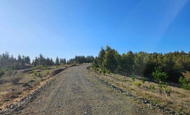 Vendo parcelas en Pichilemu * 5.000 m2 * Rol propio  * Listo para escriturar* Documentación al día  10 min Cahuil *A 15 min punta de lobos