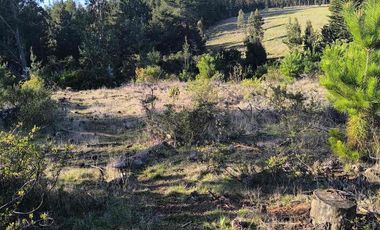 Vendo parcelas en Pichilemu * 5.000 m2 * Rol propio  * Listo para escriturar* Documentación al día  10 min Cahuil *A 15 min punta de lobos