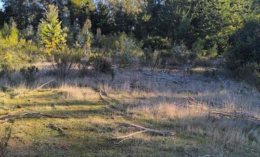 Vendo parcelas en Pichilemu * 5.000 m2 * Rol propio  * Listo para escriturar* Documentación al día  10 min Cahuil *A 15 min punta de lobos