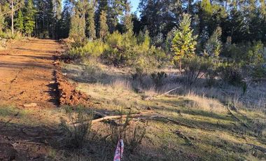 Vendo parcelas en Pichilemu * 5.000 m2 * Rol propio  * Listo para escriturar* Documentación al día  10 min Cahuil *A 15 min punta de lobos